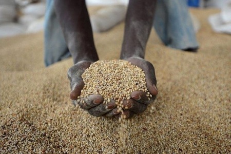 Thỏa thuận ngũ cốc Biển Đen đổ vỡ: Ai là “nạn nhân” thực sự?