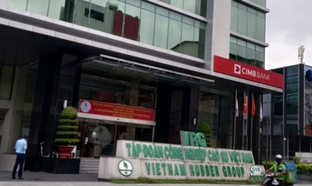 Sắp xếp lại việc xử lý các tài sản nhà, đất của Tập đoàn Công nghiệp Cao su Việt Nam