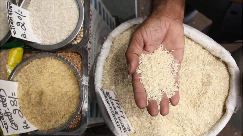 Lệnh cấm xuất khẩu gạo của Ấn Độ có thể gây ra khủng hoảng lương thực toàn cầu