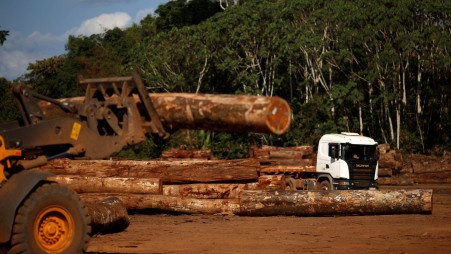 Thủ lĩnh thổ dân da đỏ Amazon kêu gọi chấm dứt nạn phá rừng
