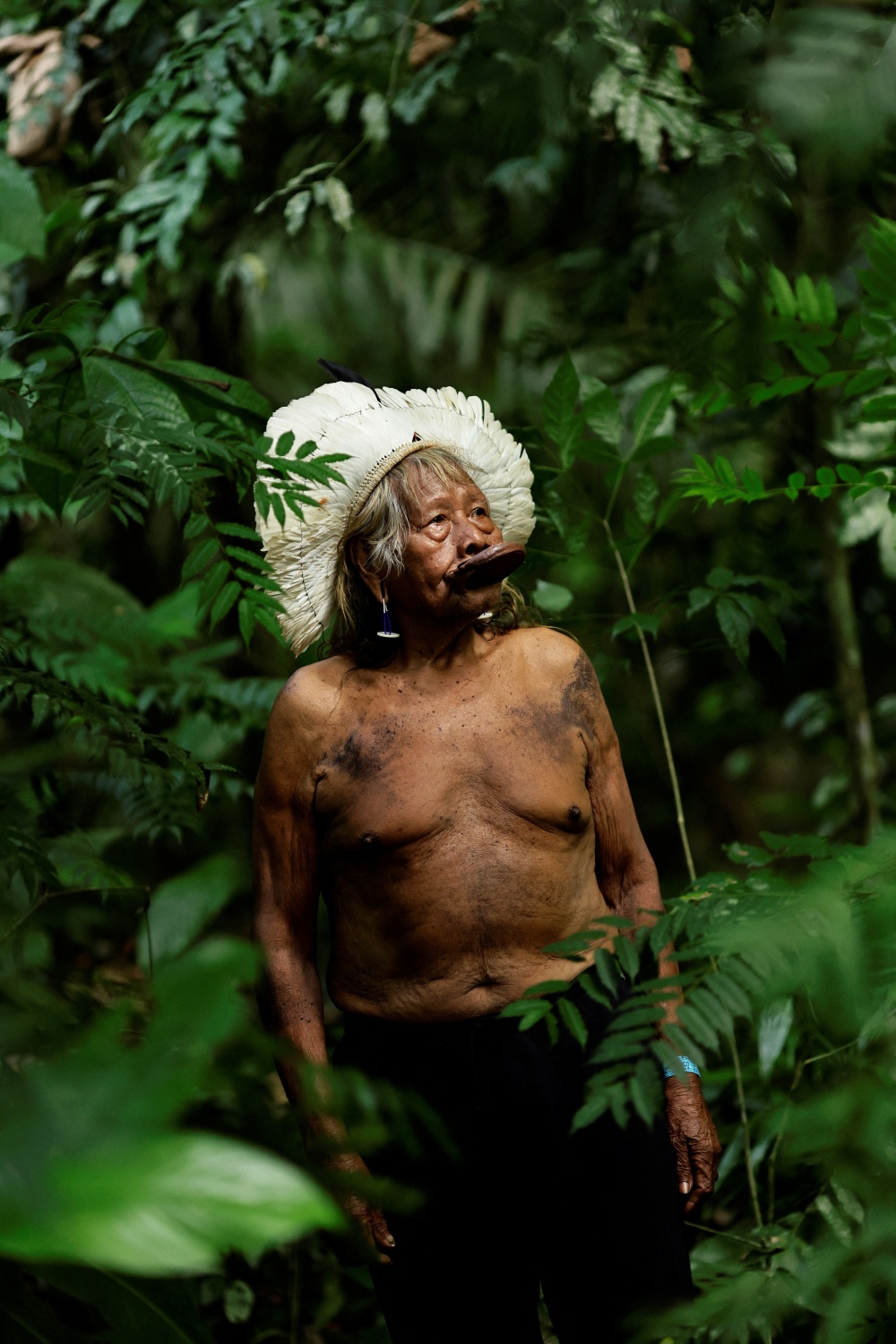 Thủ lĩnh thổ dân da đỏ Amazon kêu gọi chấm dứt nạn phá rừng