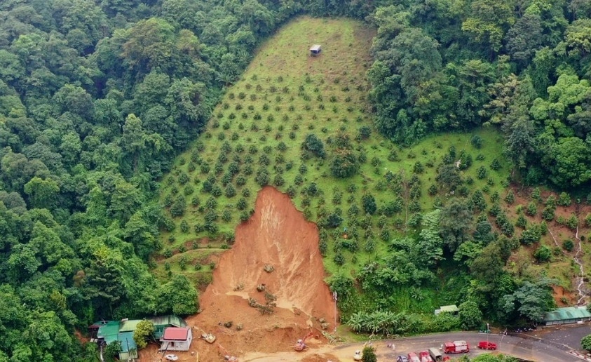 Thủ tướng yêu cầu xử nghiêm việc xây dựng trái phép trên đất rừng phòng hộ