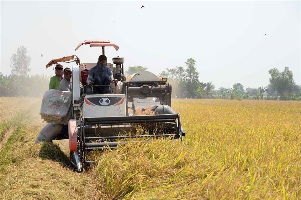 Philippines đàm phán mua thêm gạo Việt Nam, Ấn Độ