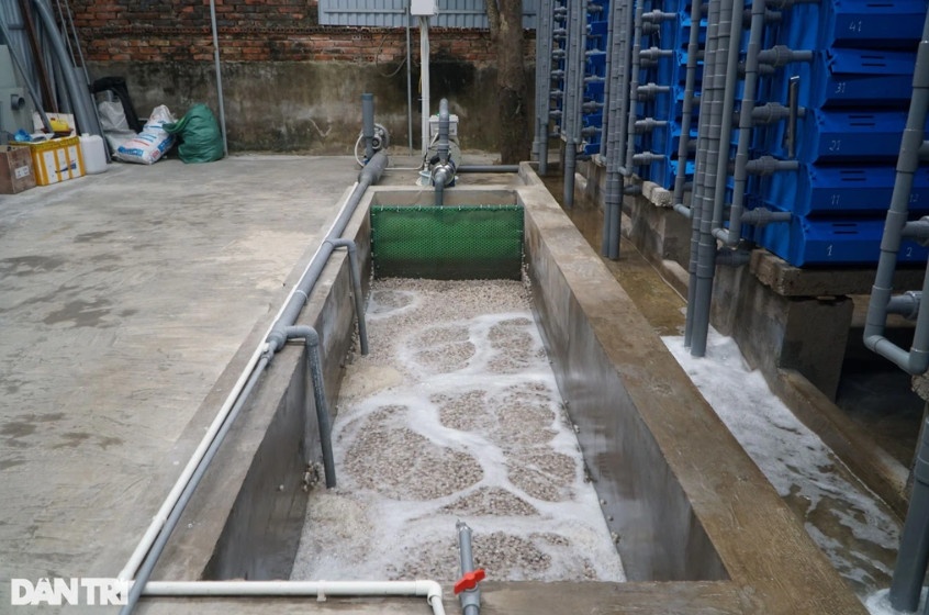 Bể lọc tuần hoàn, đảm bảo lượng nước biển phù hợp trong quá trình nuôi cua (Ảnh: Thanh Tùng).