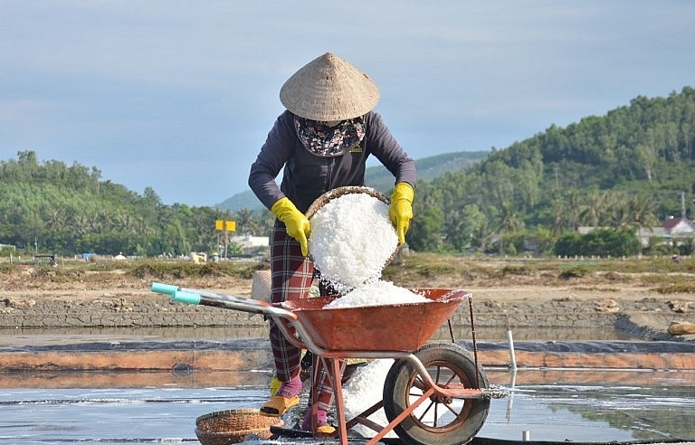 Diêm dân nghèo, lỗi có phải do muối nhập khẩu?