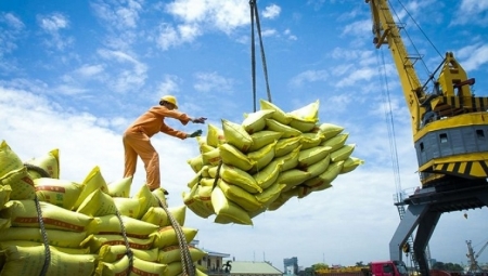 Xuất khẩu gạo: Chủ động không để “cuốn theo chiều gió” thị trường
