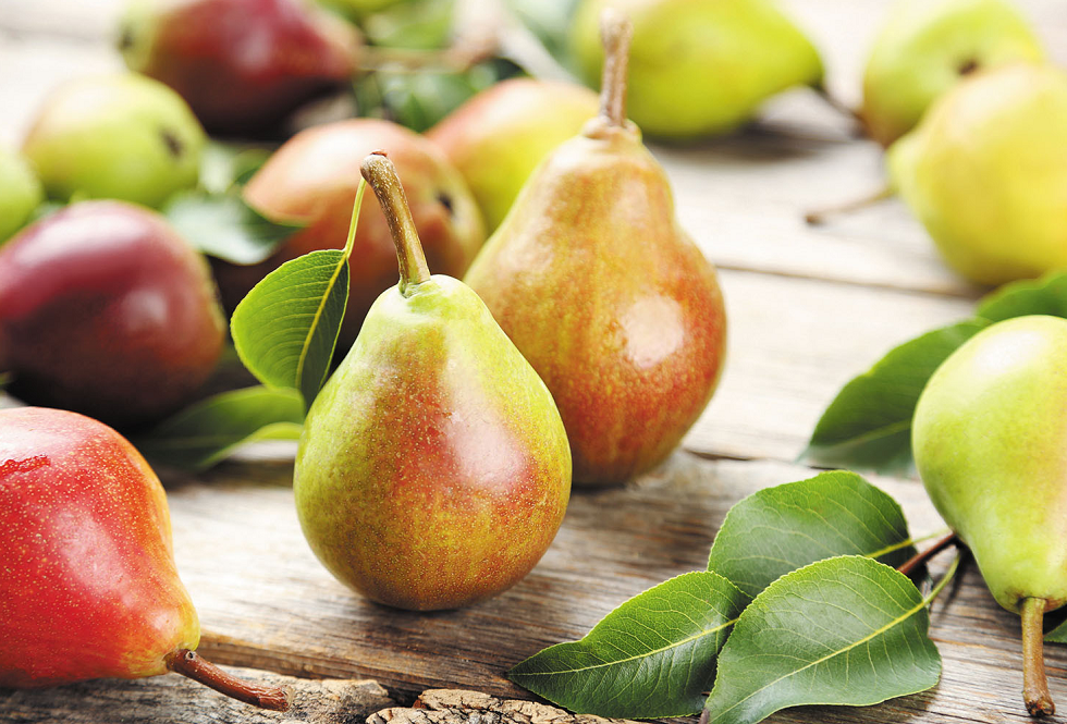 Những loại trái cây giúp hệ tiêu hóa khỏe mạnh
