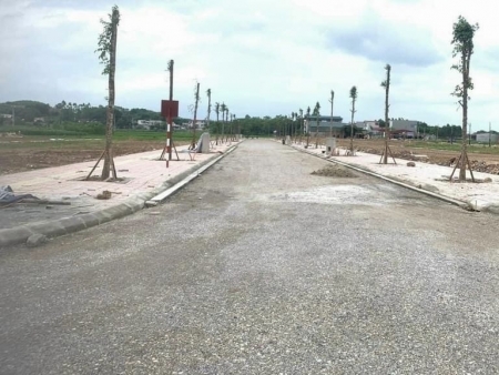 Bắc Giang điều tra phiên đấu giá 43 lô đất vào tháng 7