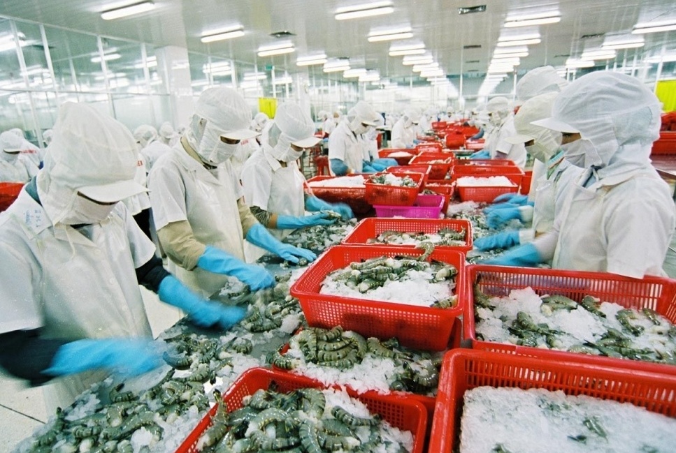 Vì sao Việt Nam chưa gỡ được “thẻ vàng” của Ủy ban châu Âu đối với thủy sản?