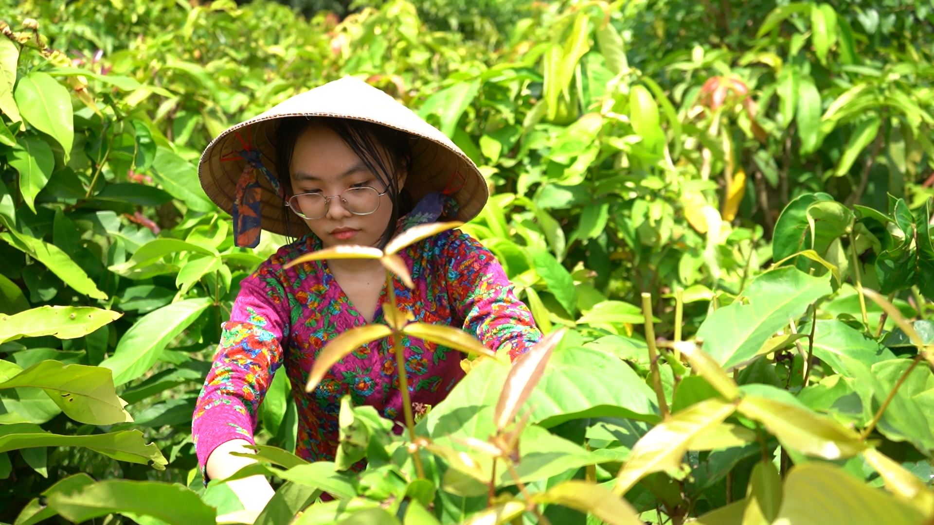 Tây Ninh: Kỳ vọng tạo đột phá trong phát triển du lịch nông thôn