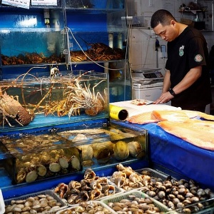 Trung Quốc cấm hải sản Nhật Bản, Nga hưởng lợi