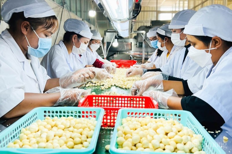 Bài 1: “Sức khỏe” của thị trường xuất khẩu và những thách thức cho doanh nghiệp Việt Nam