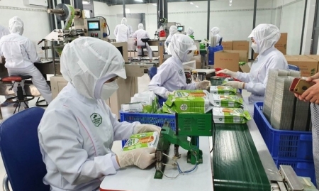 Bài cuối: Khuyến nghị nào dành cho doanh nghiệp xuất khẩu Việt Nam?