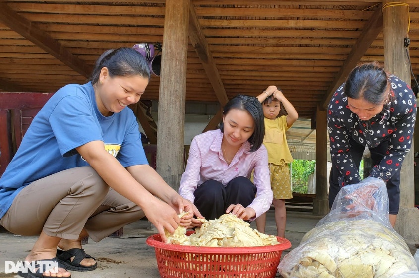 Măng thu hái về được thương lái đến tận nhà thu mua (Ảnh: Hạnh Linh).