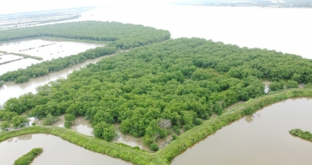 UNESCO lên tiếng việc Thái Bình "xén" 11.000ha khu bảo tồn làm đô thị