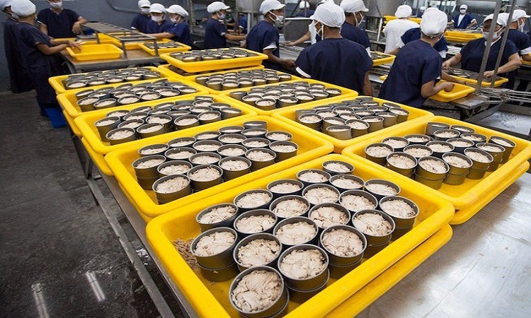 Tin tức kinh tế ngày 3/9: Xuất khẩu cá ngừ đóng hộp sang Hàn Quốc tăng đột biến
