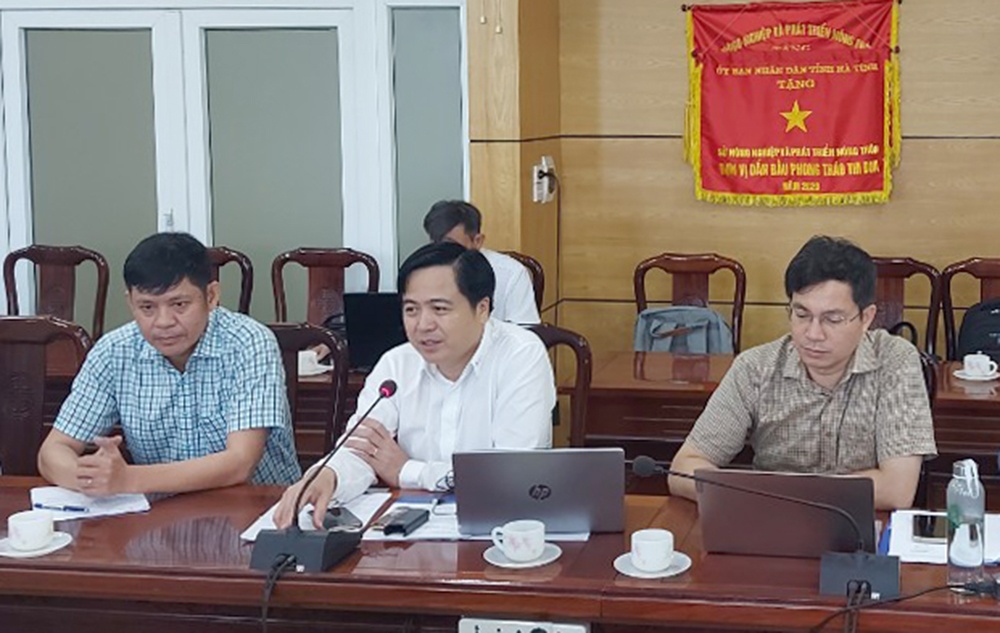EVNNPT làm việc với tỉnh Hà Tĩnh về chuyển mục đích sử dụng rừng dự án đường dây 500kV mạch 3