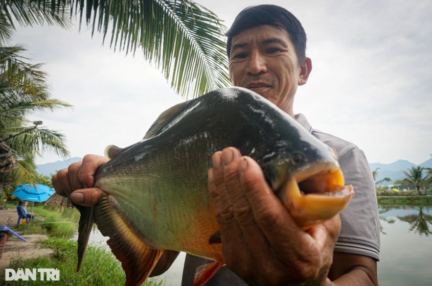 Ông Võ Văn Khoa đang thành công với mô hình nuôi cá, kết hợp dịch vụ câu cá giải trí (Ảnh: Hoài Sơn).