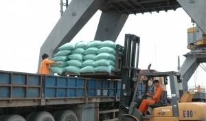 Giá gạo xuất khẩu Việt Nam bước vào xu hướng “hạ nhiệt”?