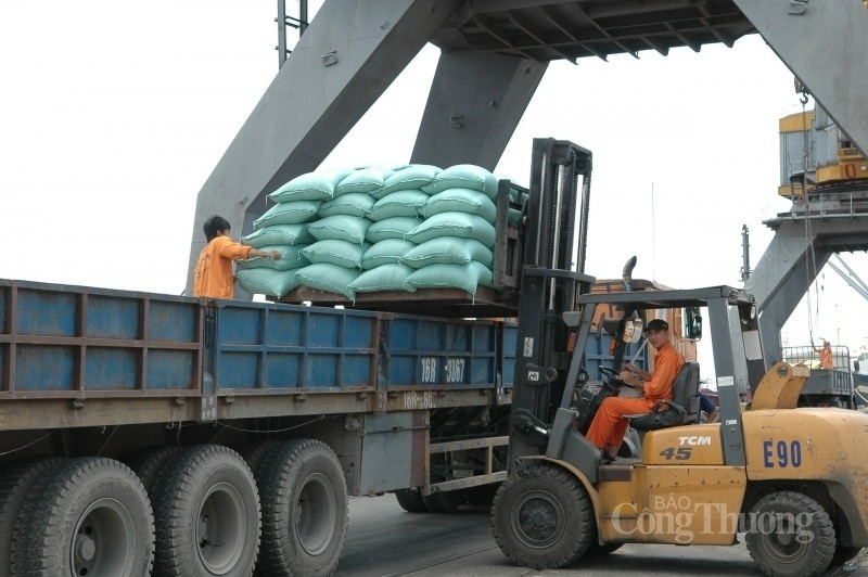 Giá gạo xuất khẩu Việt Nam bước vào xu hướng “hạ nhiệt”?