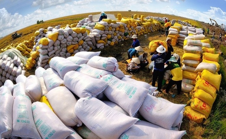 Doanh nghiệp lúa gạo, thuỷ sản: Vốn ngân hàng “lúc không cần thì có, lúc khó lại không thấy”