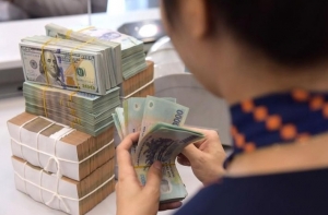 Bỏ qua tác động từ Fed, giữ vững nền lãi suất thấp hỗ trợ GDP