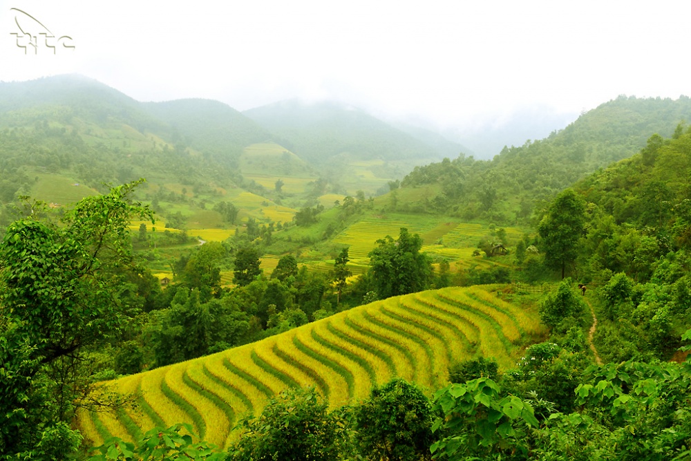 Sa Pa và Cần Thơ nằm trong danh sách điểm đến lý tưởng ở châu Á vào mùa thu này