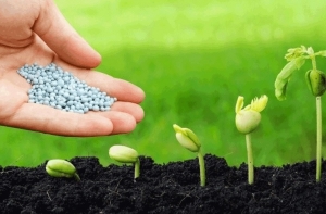 Giá phân bón hôm nay 22/9: Nhu cầu tiêu thụ Ure ở mức thấp