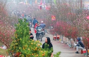 Đề xuất 2 phương án nghỉ Tết Nguyên đán năm 2024