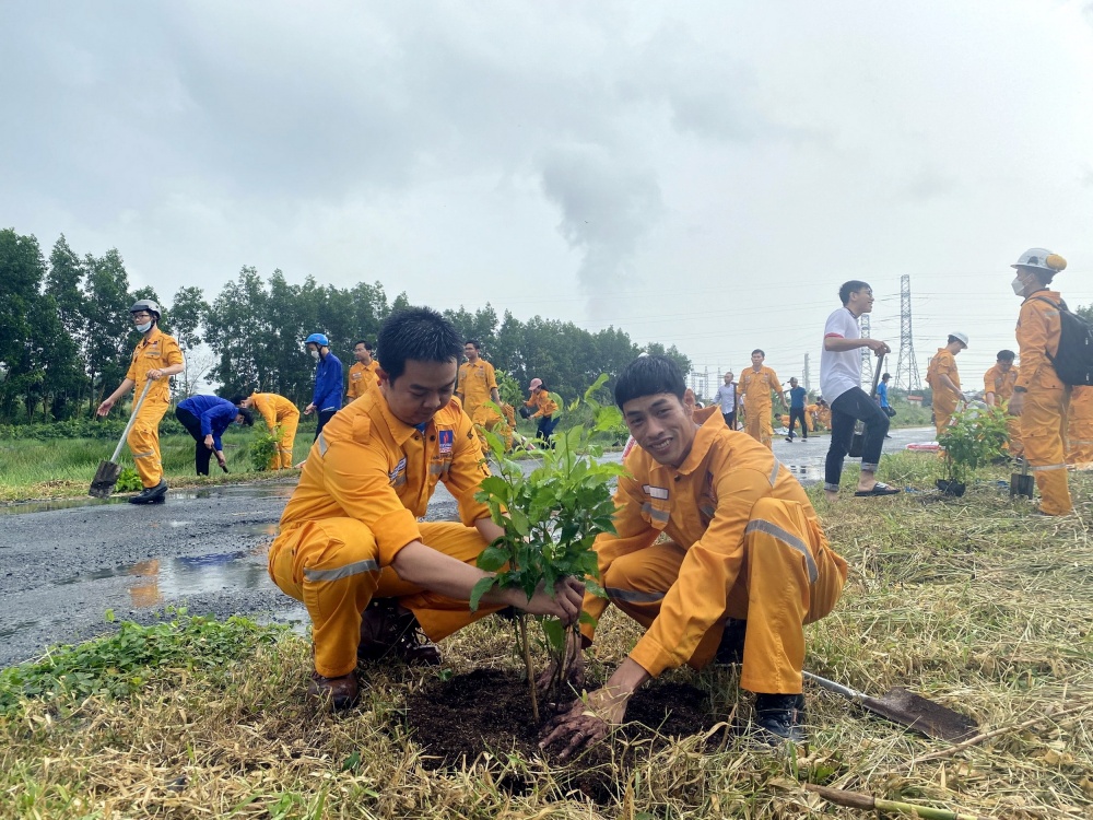 Phối hợp trồng 1.000 cây hoàng yến chuông vàng làm đẹp con đường Công trình Thanh niên tại Khánh An, U Minh, Cà Mau