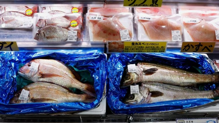 Nga cân nhắc cùng Trung Quốc cấm nhập khẩu thủy sản của Nhật Bản