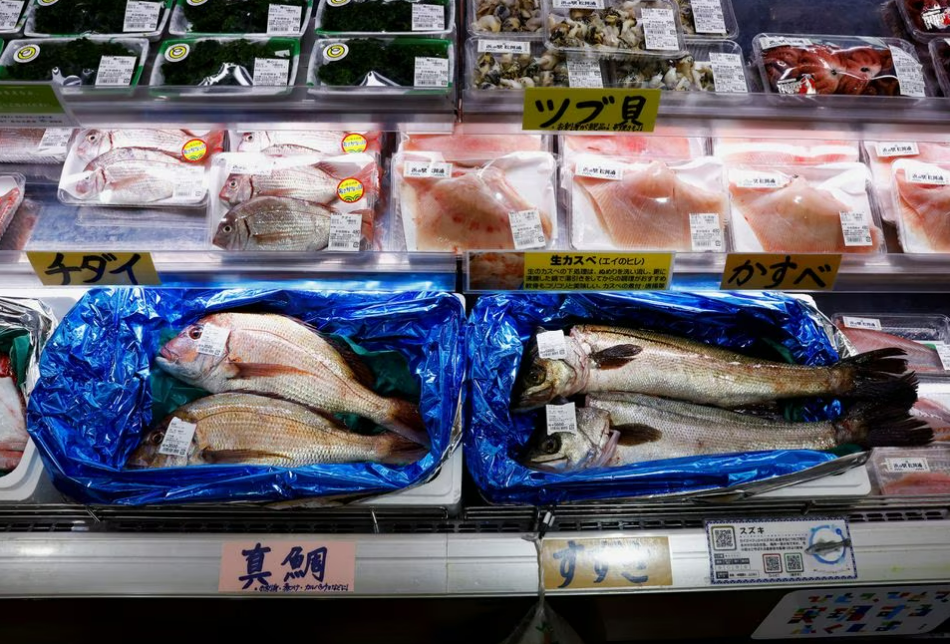 Nga cân nhắc cùng Trung Quốc cấm nhập khẩu thủy sản của Nhật Bản