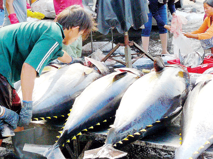 FDA khẳng định hải sản nhập khẩu từ Nhật Bản an toàn