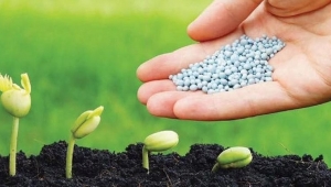 Giá phân bón hôm nay 30/9: Giao dịch trầm lắng