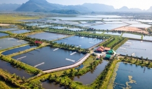 Giảm 30% tiền thuê đất năm 2023