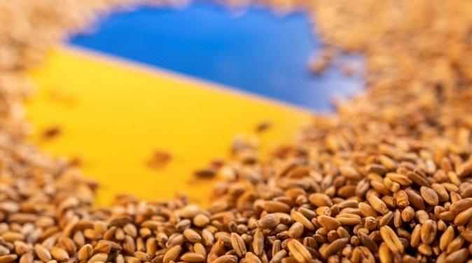 Xuất khẩu ngũ cốc của Ukraine giảm 27,8% trong vụ mùa 2023 - 2024