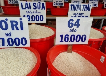 Indonesia mở thầu 500.000 tấn gạo: Cơ hội cho gạo Việt?