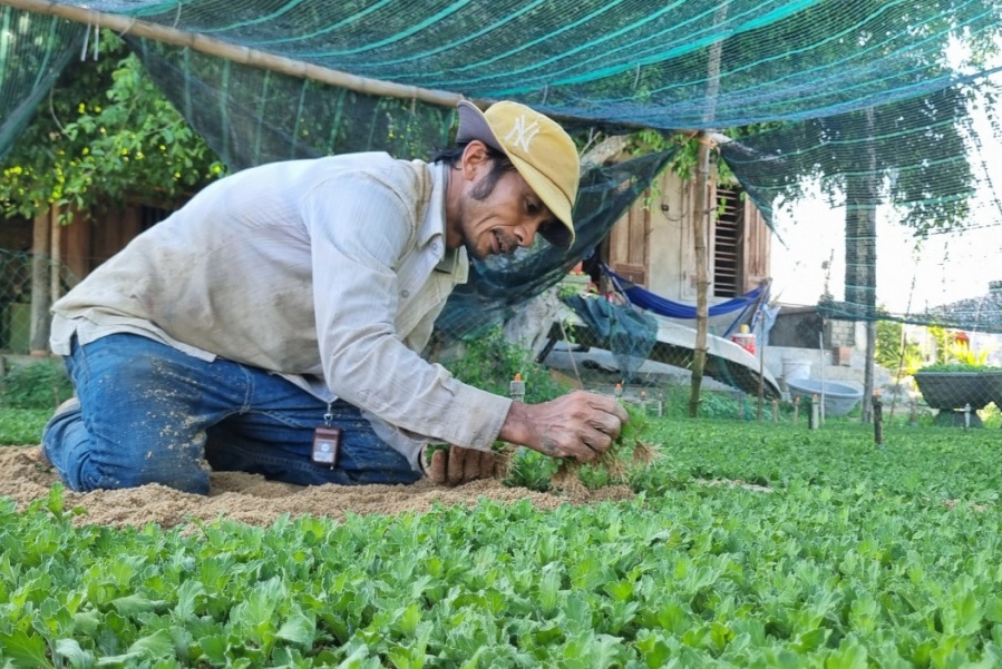 Những người gom nắng "khơi màu", gọi Tết