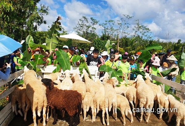 Về Cà Mau khám phá khu du lịch sinh thái Hoa Rừng U Minh