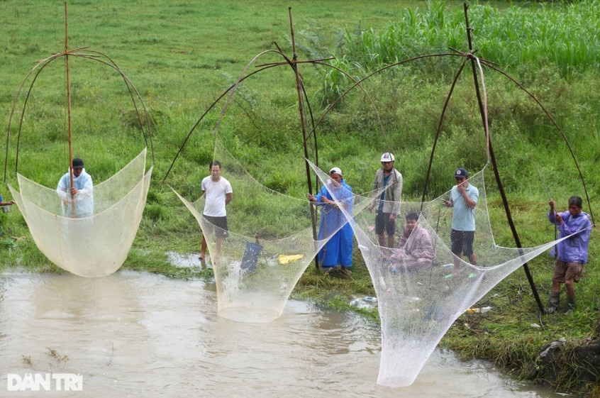 Quảng Nam: Đội mưa xối xả, người dân đổ xô đi tìm con đặc sản mùa lũ