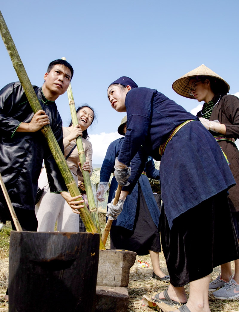 Trải nghiệm “Rừng vàng” Xà Phìn Trải nghiệm “Rừng vàng” Xà Phìn