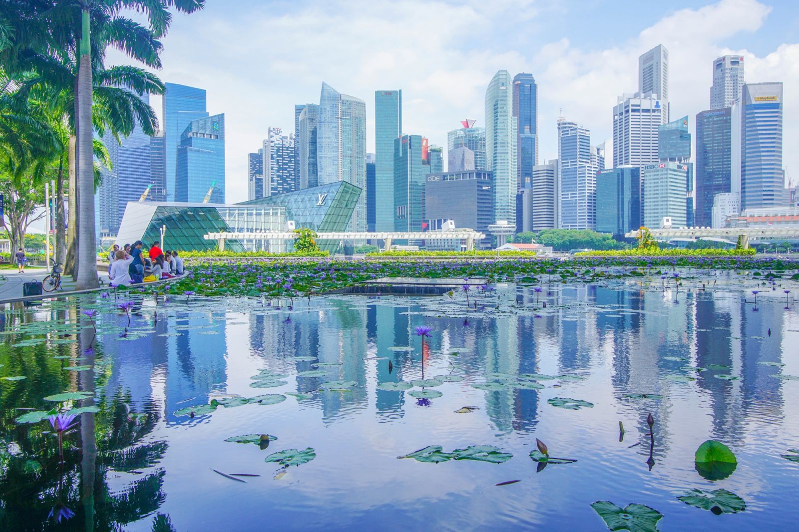 Singapore có một hệ sinh thái fintech xanh rất bài bản.