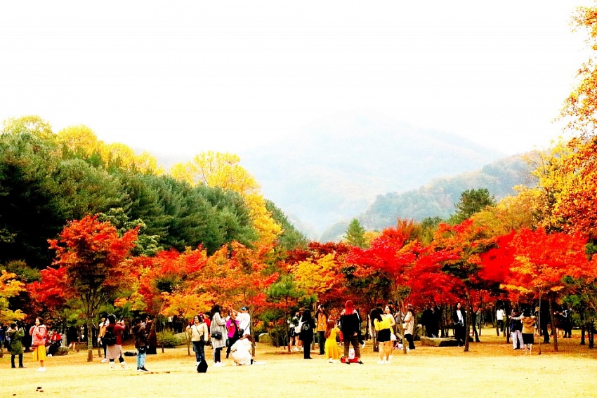 Seoul - Mùa đẹp nhất