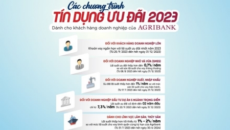 5 chương trình tín dụng ưu đãi nổi bật dành cho khách hàng doanh nghiệp của Agribank năm 2023