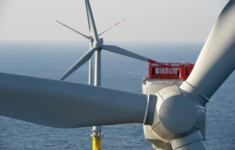 Pháp: Hội đồng Hiến pháp giáng đòn mạnh vào doanh thu nhà nước từ năng lượng tái tạo