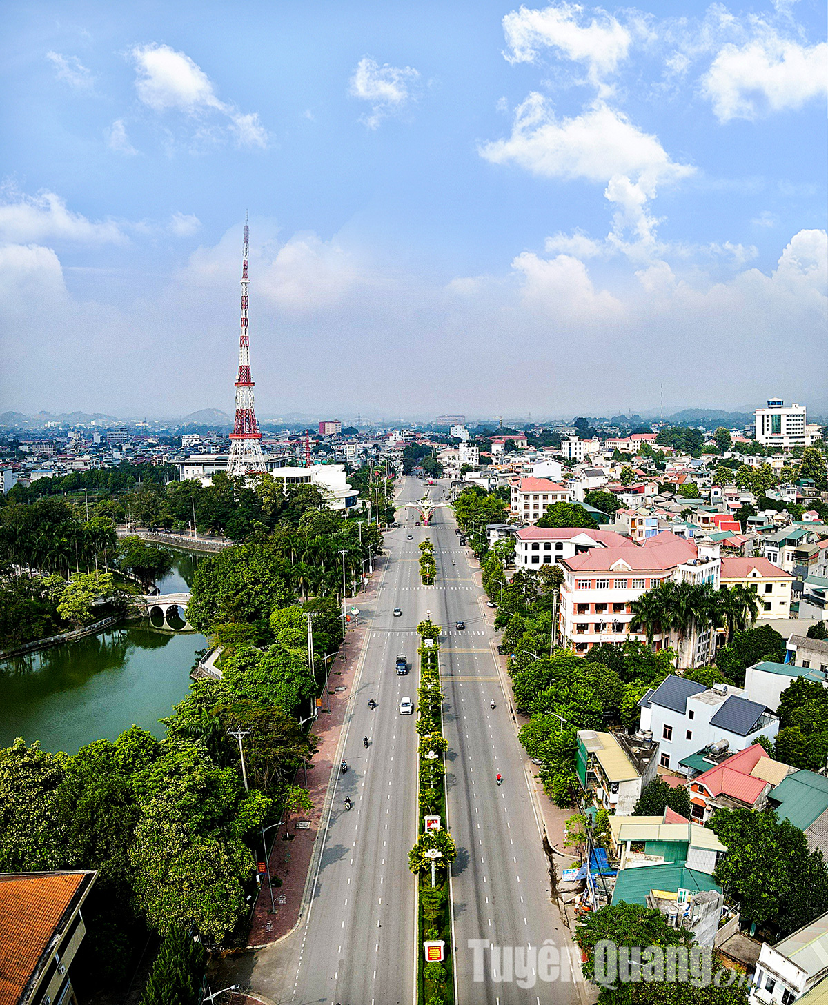 Rực rỡ sắc hoa chuông vàng giữa lòng thành phố
