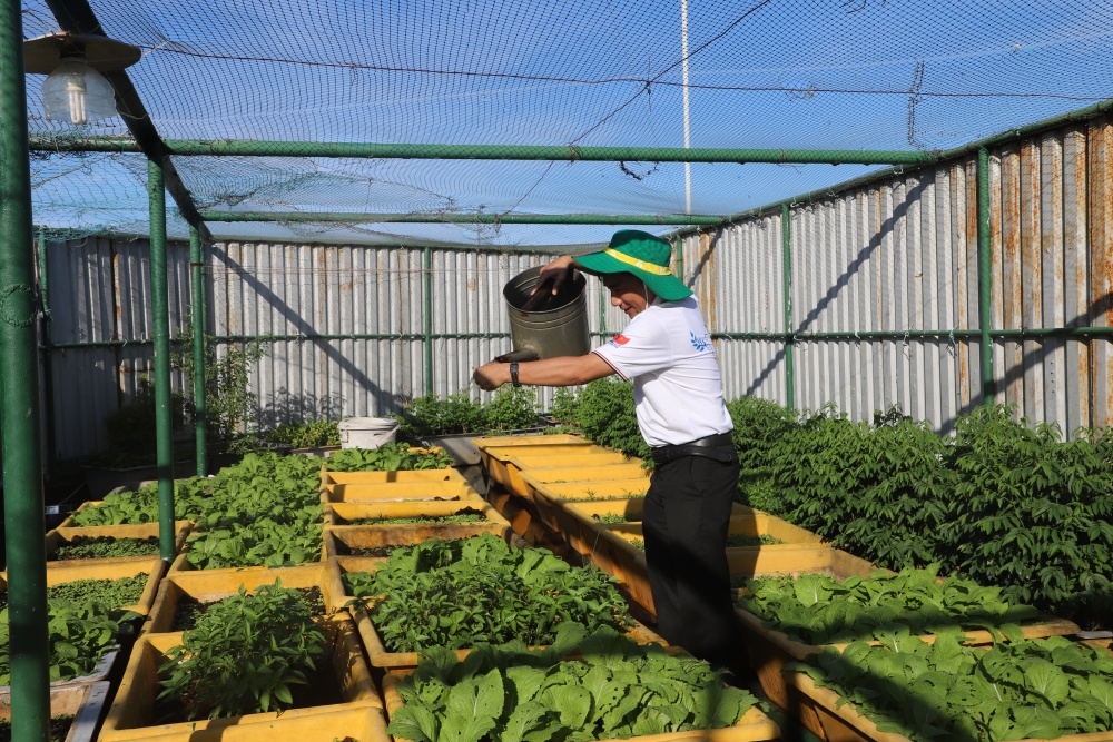 28-NTHT-AB-0005-07: Người lao động Dầu khí góp phần xanh hóa Trường Sa trên vườn rau nhà gian DK1/20.
