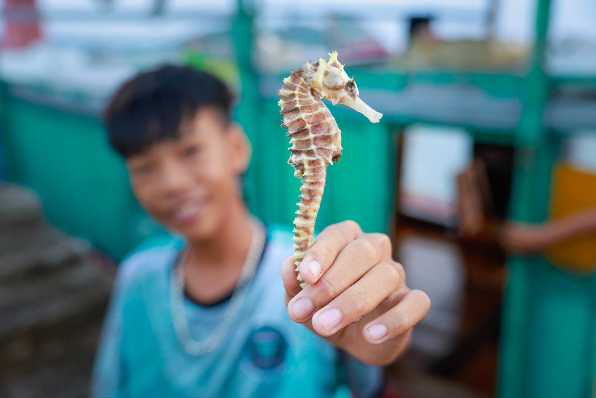48 giờ dạo chơi ở đảo Cô Tô 48 giờ dạo chơi ở đảo Cô Tô