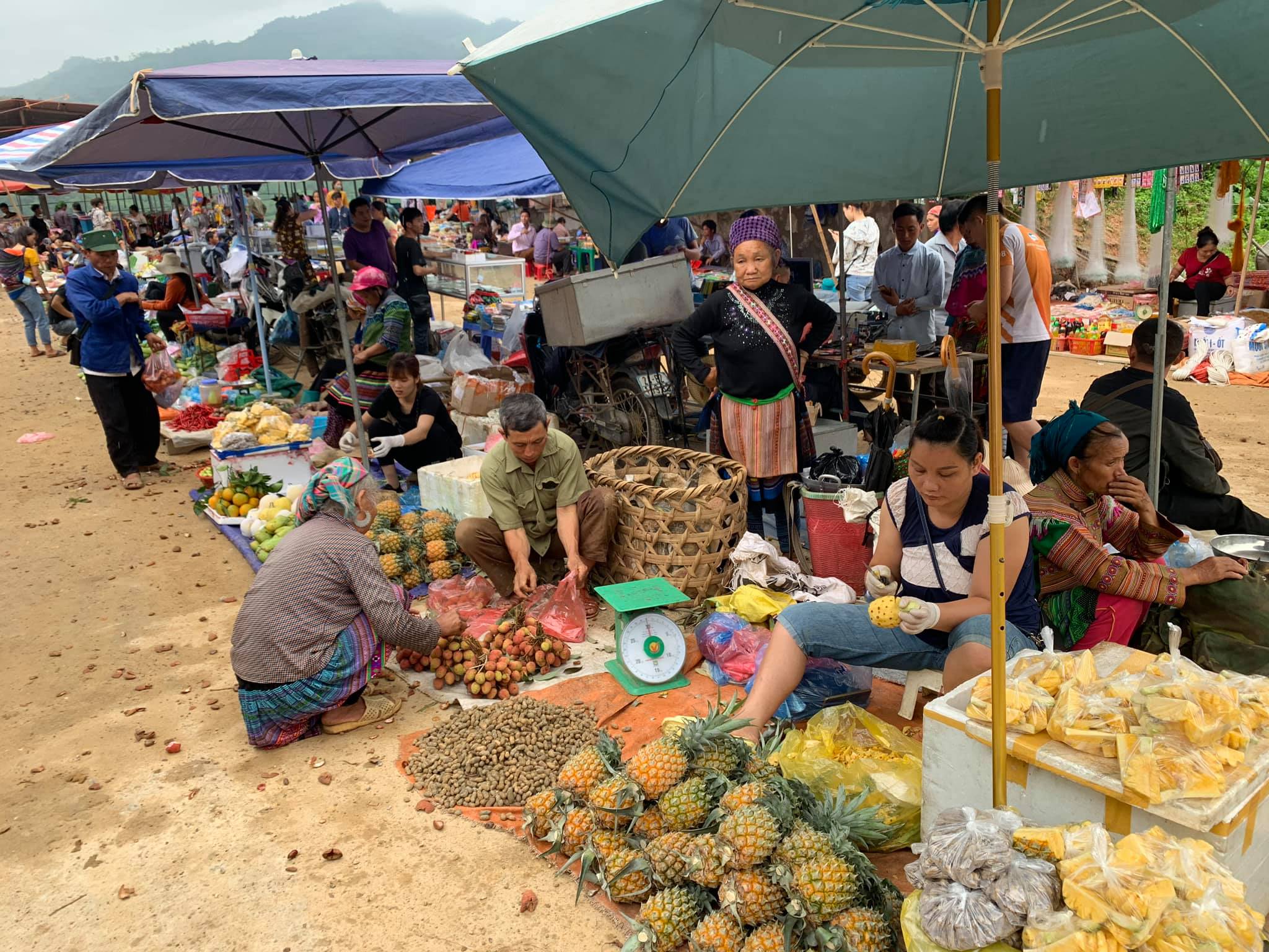 5 trải nghiệm đáng giá vào mùa đông ở Bắc Hà