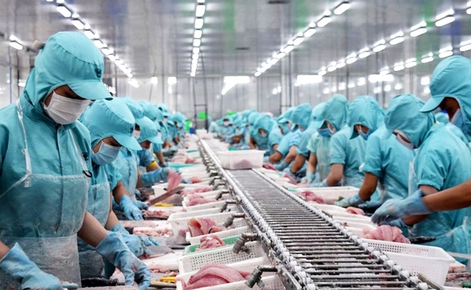 Tin tức kinh tế ngày 19/11: Xuất khẩu thủy sản sang Trung Quốc còn nhiều dư địa